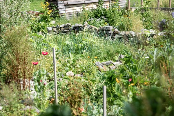 Permakulturgarten | © Kleinwalsertal Tourismus eGen | Fotograf: Dominik Berchtold