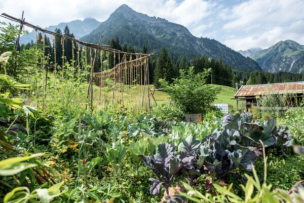 Permakulturgarten | © Kleinwalsertal Tourismus eGen | Fotograf: Dominik Berchtold