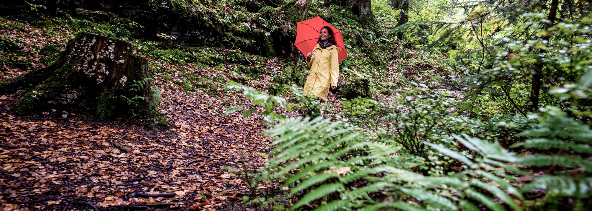 Wandern bei Regenwetter | © Kleinwalsertal Tourismus eGen | Fotograf: Dominik Berchtold