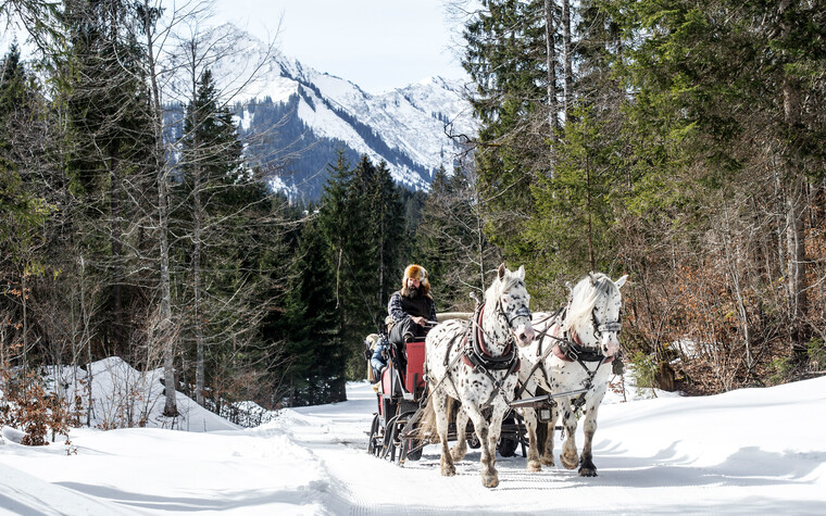 Peter Hammerer auf Schlittenfahrt | © Kleinwalsertal Tourismus eGen | Fotograf: Dominik Berchtold