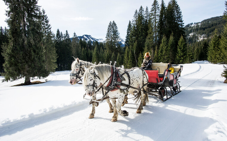 Peter Hammerer auf Schlittenfahrt | © Kleinwalsertal Tourismus eGen | Fotograf: Dominik Berchtold