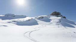 Spuren im Tiefschnee | © Kleinwalsertal Tourismus eGen | Fotograf: Frank Drechsel Spuren im Tiefschnee | © Kleinwalsertal Tourismus eGen | Fotograf: Frank Drechsel