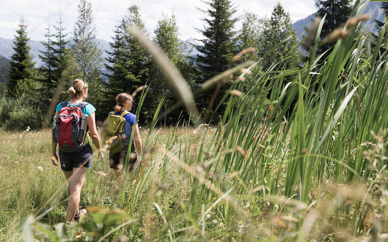 Wandern am Naturerlebnisplatz Hörnlepass | © Kleinwalsertal Tourismus eGen | Fotograf: Oliver Farys