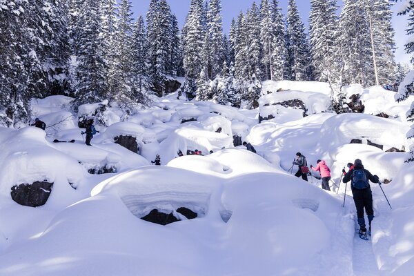 Schneeschuhwandern im Schwarzwassertal | © Kleinwalsertal Tourismus eGen | Fotograf: Oliver Farys
