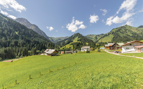 Bergsommer auf den Almen in Baad  | © Kleinwalsertal Tourismus eGen | Fotograf: Steffen Berschin