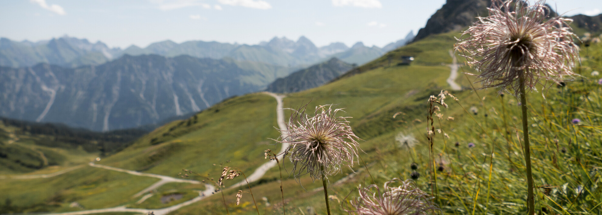 Wandergebiet an der Kanzelwand | © Oberstdorf Kleinwalsertal Bergbahnen | Fotograf: Jennifer Tautz