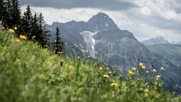 Großer Widderstein | 2.533m | © Kleinwalsertal Tourismus eGen Großer Widderstein | 2.533m | © Kleinwalsertal Tourismus eGen