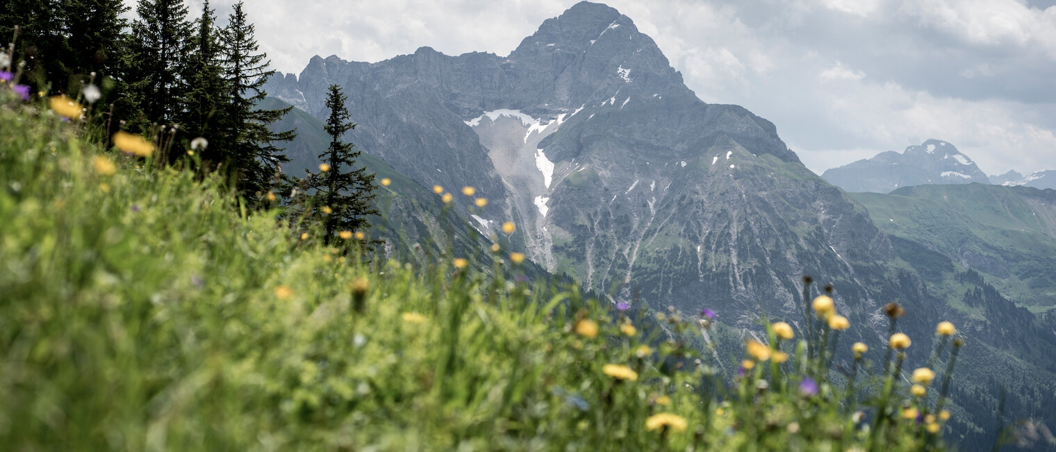 Großer Widderstein | 2.533m | © Kleinwalsertal Tourismus eGen Großer Widderstein | 2.533m | © Kleinwalsertal Tourismus eGen