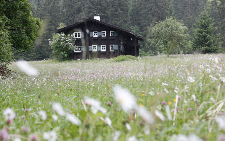 Blumenwiese vor Walserhaus | © Kleinwalsertal Tourismus eGen | Fotograf: Frank Drechsel
