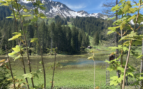 Frühling in der Melköde | © Kleinwalsertal Tourismus eGen