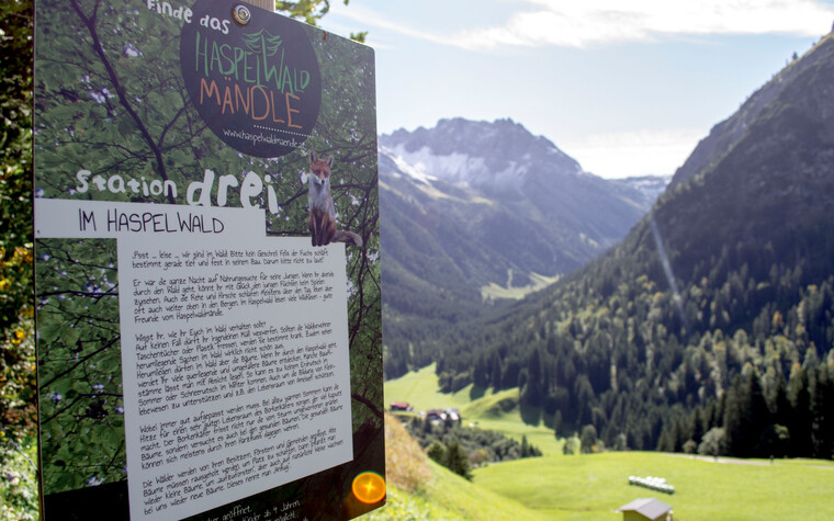 Wanderung für Kinder im Haspelwald Mittelberg | © Kleinwalsertal Tourismus eGen