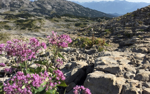Gottesackerplateau | © Kleinwalsertal Tourismus eGen