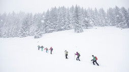Aufstieg beim VAUDE Skitourencamp | © Bergwelt Oberstaufen | Fotograf: Moritz Sonntag Aufstieg beim VAUDE Skitourencamp | © Bergwelt Oberstaufen | Fotograf: Moritz Sonntag