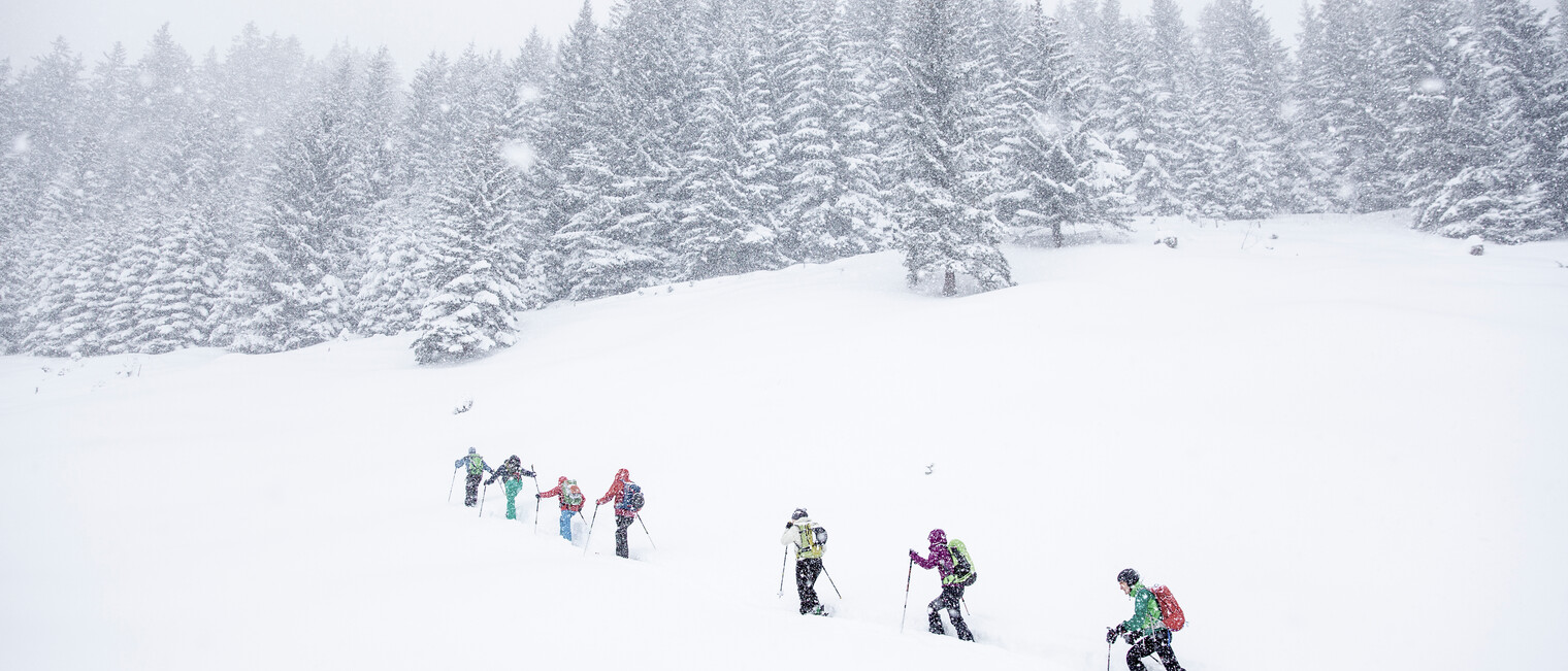 Aufstieg beim VAUDE Skitourencamp | © Bergwelt Oberstaufen | Fotograf: Moritz Sonntag Aufstieg beim VAUDE Skitourencamp | © Bergwelt Oberstaufen | Fotograf: Moritz Sonntag