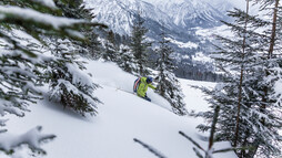 Powerabfahrten beim VAUDE Skitourencamp | © Bergwelt Oberstaufen | Fotograf: Moritz Sonntag Powerabfahrten beim VAUDE Skitourencamp | © Bergwelt Oberstaufen | Fotograf: Moritz Sonntag