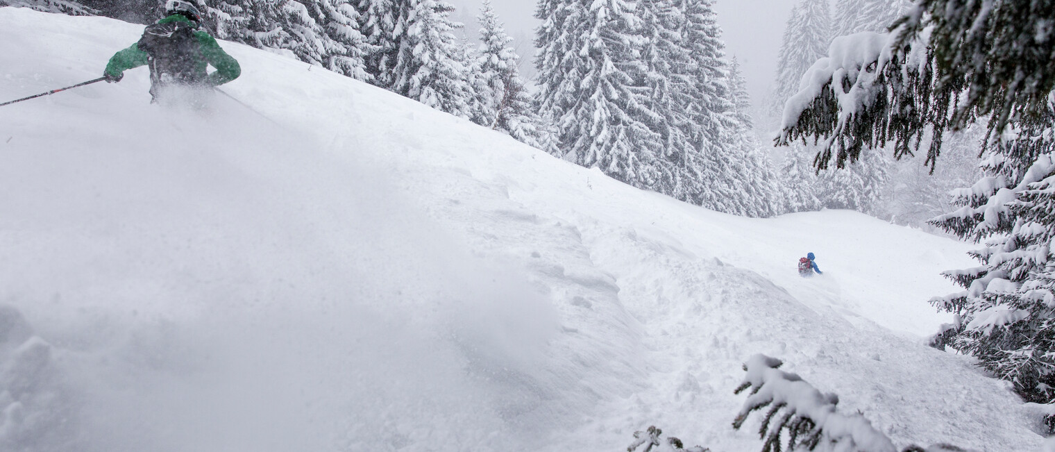 Feinster Powder beim VAUDE Skitourencamp | © Bergwelt Oberstaufen | Fotograf: Moritz Sonntag Feinster Powder beim VAUDE Skitourencamp | © Bergwelt Oberstaufen | Fotograf: Moritz Sonntag