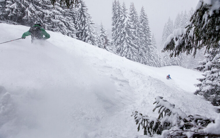 Feinster Powder beim VAUDE Skitourencamp | © Bergwelt Oberstaufen | Fotograf: Moritz Sonntag